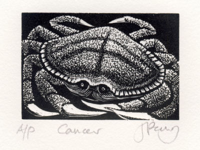 Wood Engraving by Jenny Pery Wood Engraving by Jenny Pery