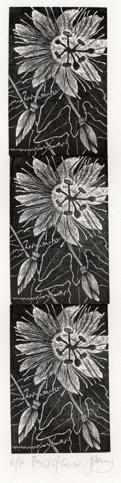 Wood Engraving by Jenny Pery Wood Engraving by Jenny Pery